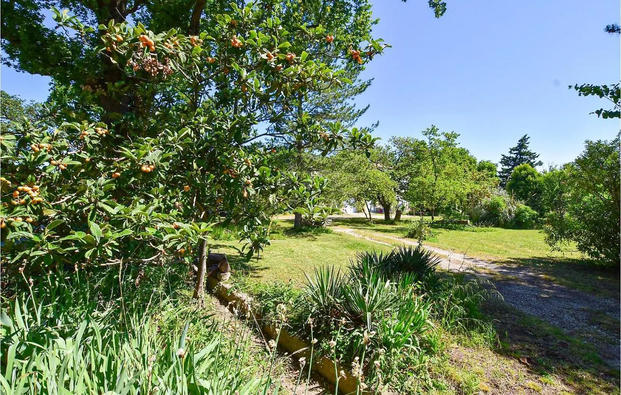 Amazing Apartment In Avignon With Wifi France